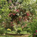 Domaine Des Roches Blanches Vakantiehuis *