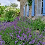 Domaine Des Roches Blanches