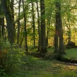Domaine Des Roches Blanches Le Pin (Deux-Sevres)