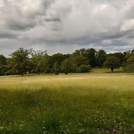 펜션 Domaine Des Roches Blanches Le Pin (Deux-Sevres)