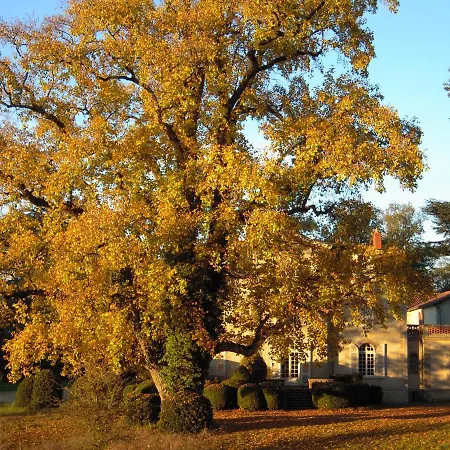 Domaine Des Roches Blanches Le Pin (Deux-Sevres)