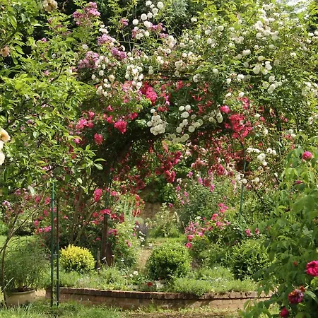 Domaine Des Roches Blanches Ferienhaus *