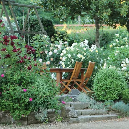 Domaine Des Roches Blanches * Le Pin (Deux-Sevres)