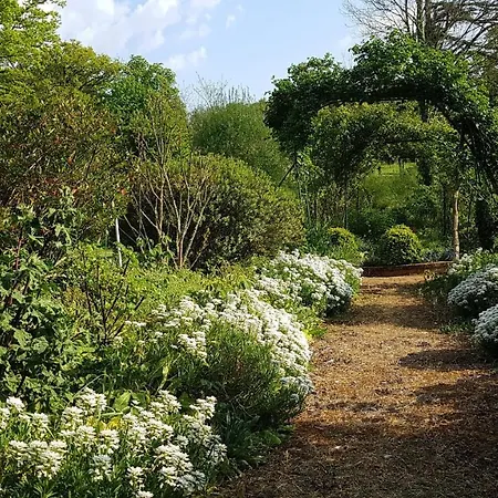 Domaine Des Roches Blanches