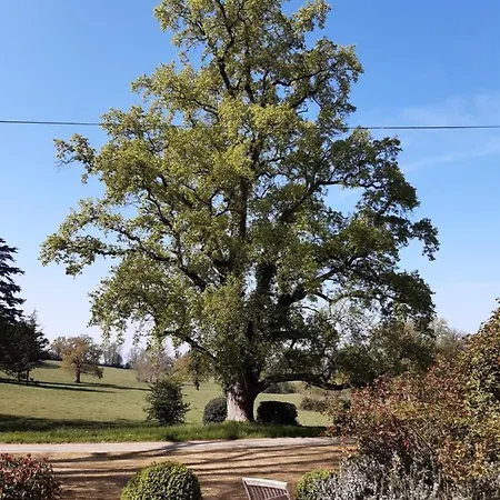 Domaine Des Roches Blanches Casa vacanze Le Pin (Deux-Sevres)