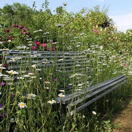 Domaine Des Roches Blanches * Le Pin (Deux-Sevres)