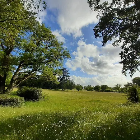 Domaine Des Roches Blanches