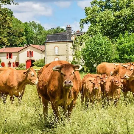 Holiday home Domaine Des Roches Blanches Le Pin (Deux-Sevres)
