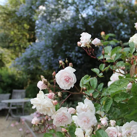 Domaine Des Roches Blanches Holiday home Le Pin (Deux-Sevres)