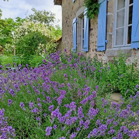 Domaine Des Roches Blanches