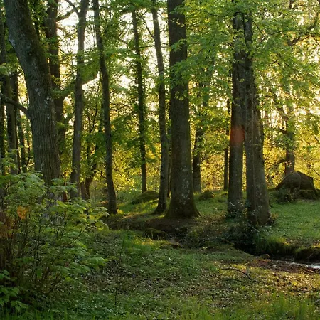 Domaine Des Roches Blanches Le Pin (Deux-Sevres)