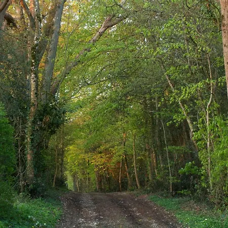 Casa vacanze Domaine Des Roches Blanches Le Pin (Deux-Sevres)