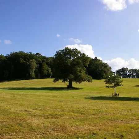 Casa vacanze Domaine Des Roches Blanches Le Pin (Deux-Sevres)