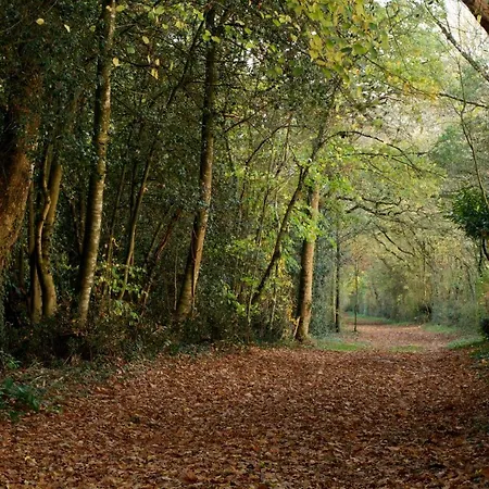 Casa vacanze Domaine Des Roches Blanches