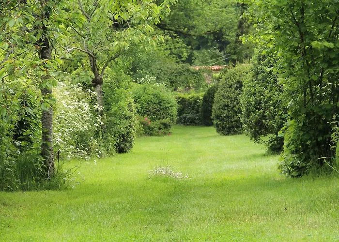 Domaine Des Roches Blanches Le Pin (Deux-Sevres)