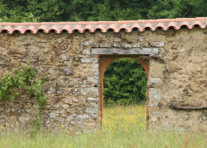 Domaine Des Roches Blanches