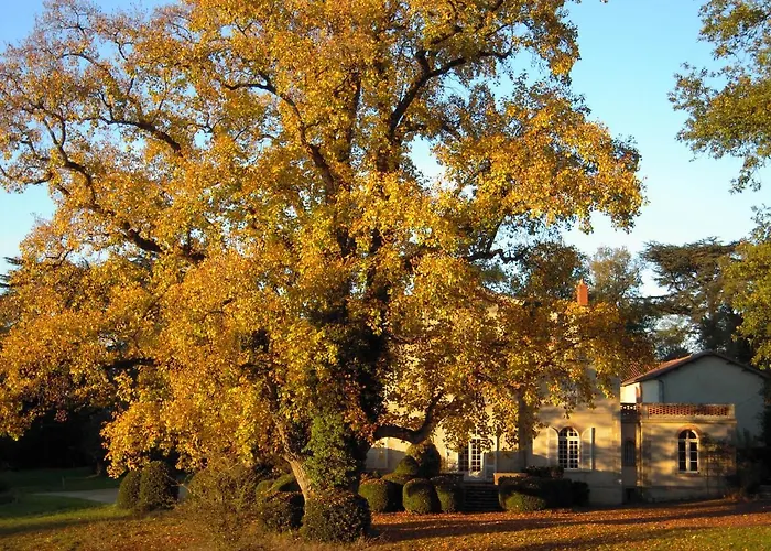 Domaine Des Roches Blanches Le Pin (Deux-Sevres)