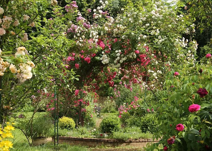 Domaine Des Roches Blanches Holiday home *