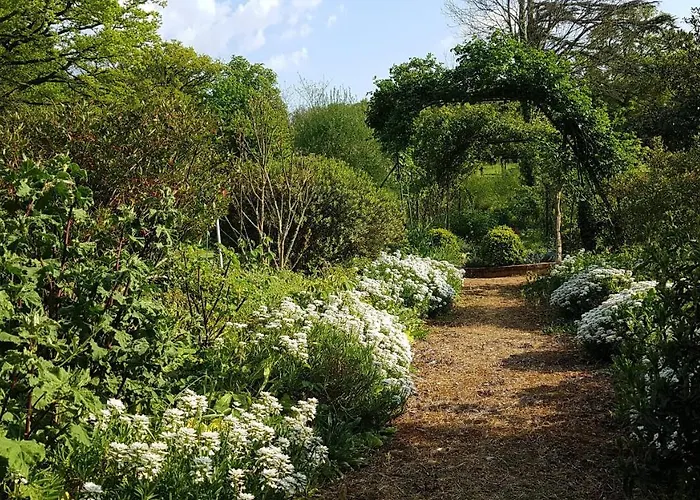 Domaine Des Roches Blanches