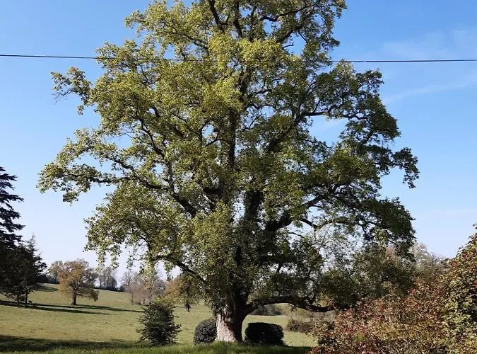 Domaine Des Roches Blanches Holiday home Le Pin (Deux-Sevres)