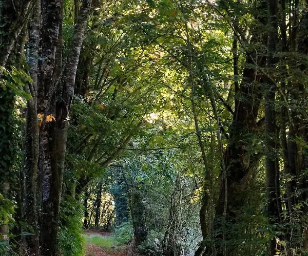 Domaine Des Roches Blanches