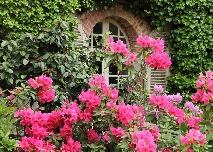 Domaine Des Roches Blanches Holiday home Le Pin (Deux-Sevres)