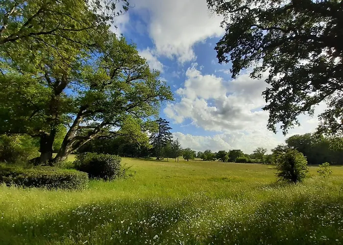 Domaine Des Roches Blanches
