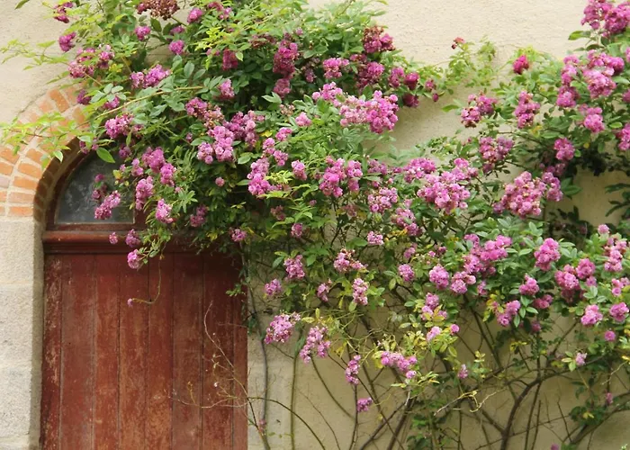 Holiday home Domaine Des Roches Blanches *