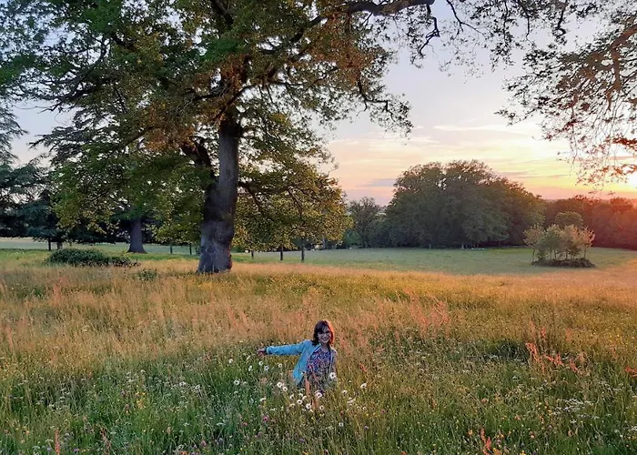 Domaine Des Roches Blanches Le Pin (Deux-Sevres)