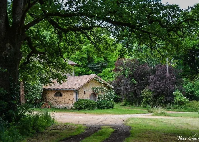 Domaine Des Roches Blanches Holiday home