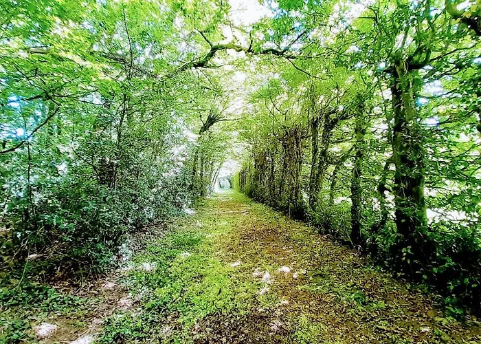 Domaine Des Roches Blanches Le Pin (Deux-Sevres)