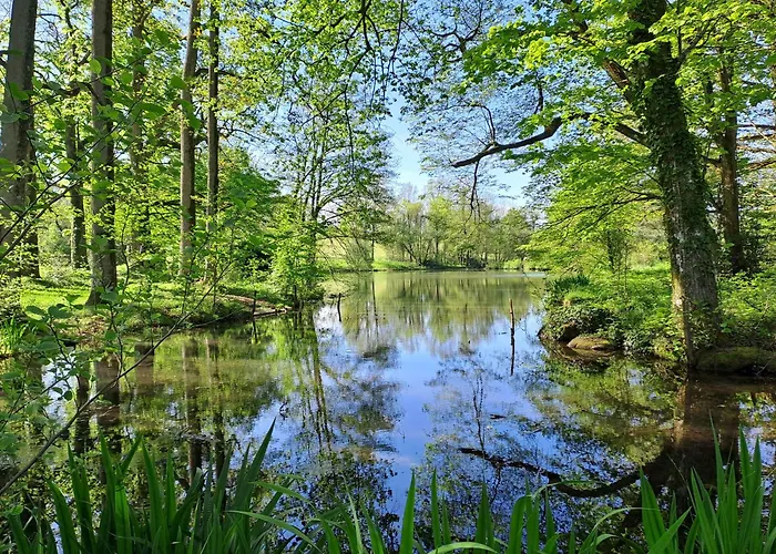 Holiday home Domaine Des Roches Blanches Le Pin (Deux-Sevres)