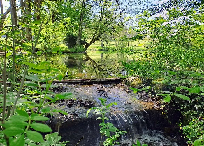 Domaine Des Roches Blanches Le Pin (Deux-Sevres)