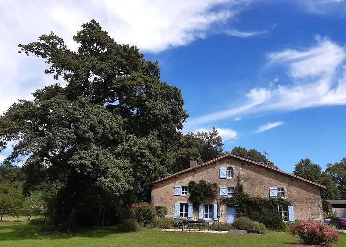 Domaine Des Roches Blanches * Le Pin (Deux-Sevres)