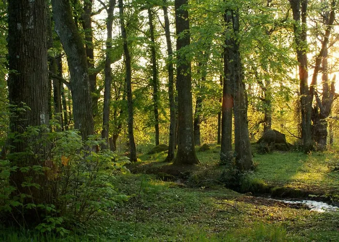 Domaine Des Roches Blanches Le Pin (Deux-Sevres)