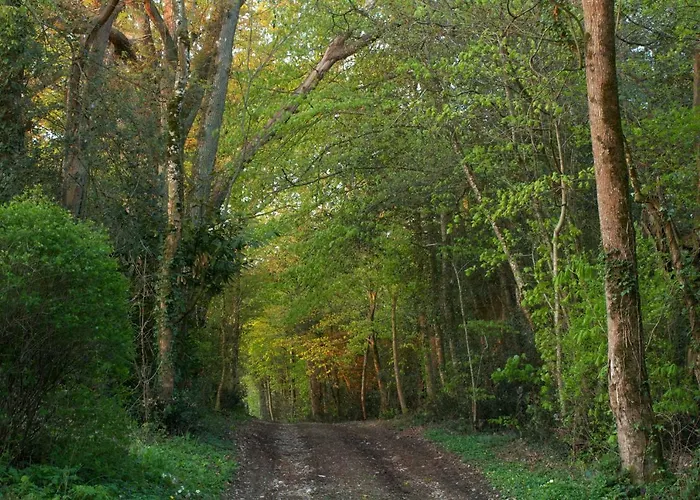 Holiday home Domaine Des Roches Blanches Le Pin (Deux-Sevres)