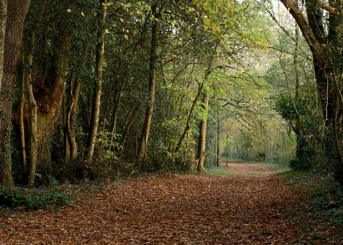 Holiday home Domaine Des Roches Blanches